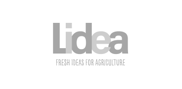 Lider